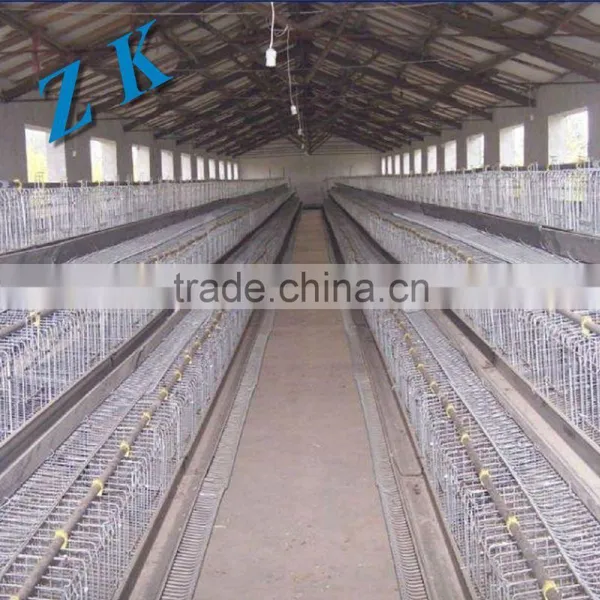 Automatic Water and Feeding for Chicken Cage , Laying Hen , photo-5