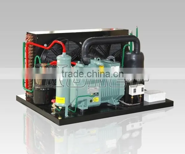 Koller New Technology 15 Tons Cold Storage Room With PU Panels for Fish Meat photo-2