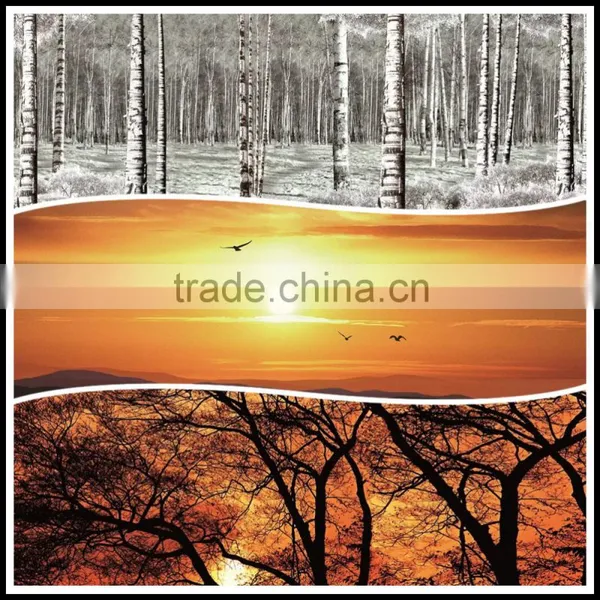 Ceramic Fritted Glass Can be Tempered Laminated Decorative Glass photo-3