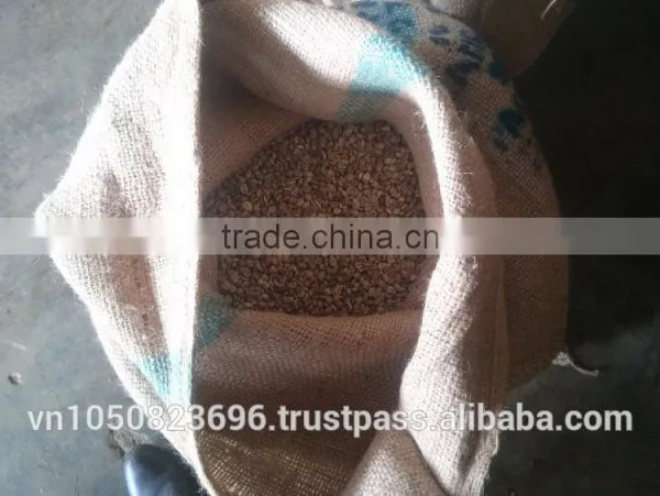 ARABICA GREEN COFFEE BEANS- High Quality photo-2