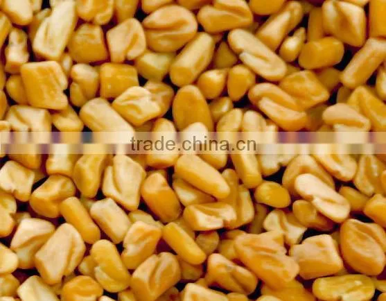 Indian Fenugreek Seeds