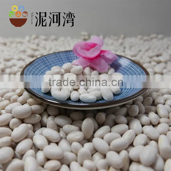 White Kidney Bean Size 200-220pcs White Bean 2016 Crop With Market Price photo-5