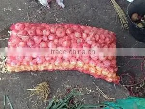 Liliaceous Vegetabless Product Type and Onion Type Fresh ONION for Sale photo-6