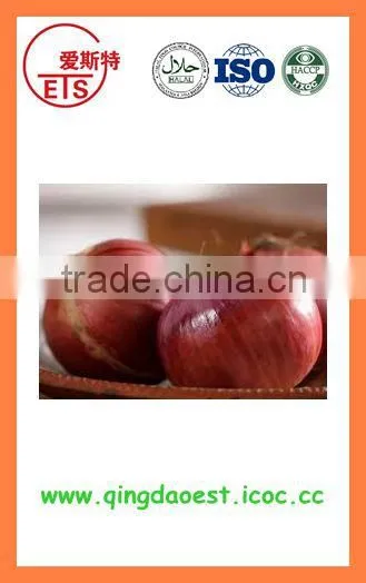 Bulk Market Price Fresh Red Onion Products photo-3