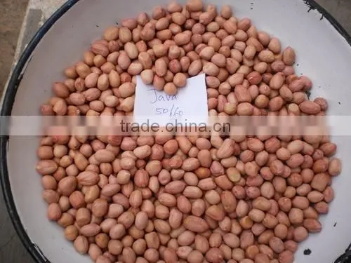 Roasted Peanuts