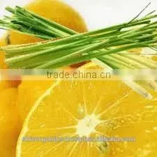 Lemon Grass Oil photo-2