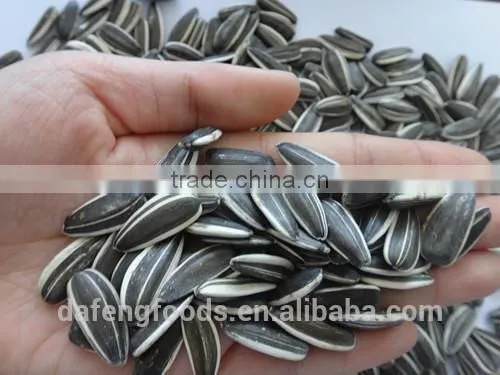 Hetao Sunflower Seeds5009.3939.3638.363,135.909 photo-4