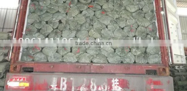 PVC COATED WOODEN BROOM STICK PRODUCER photo-4