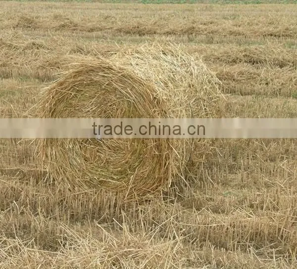 Hot Sale Square Hay Baler /round Hay Baler photo-3