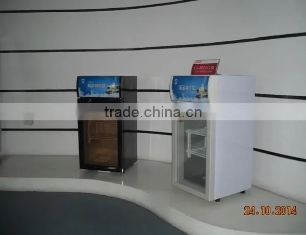 Little Vertical Display-seriesEngineering Freezer /Freezer of Beer Chinese Seafood Restaurant Freezer/Import and Export o photo-6