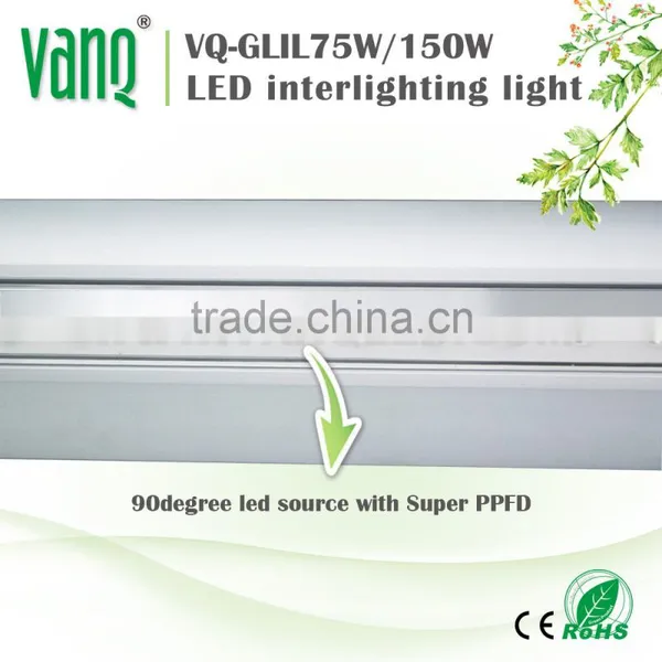 VANQLED Distributor Grow Light for Greenhouse 75w for Interlighting Cucumber/Tomatoes photo-5
