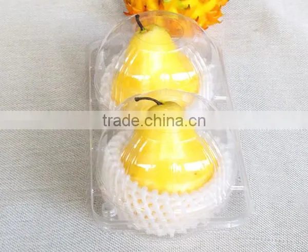 Transparent PET Vacuum Formed Plastic Food/fruit Tray photo-4