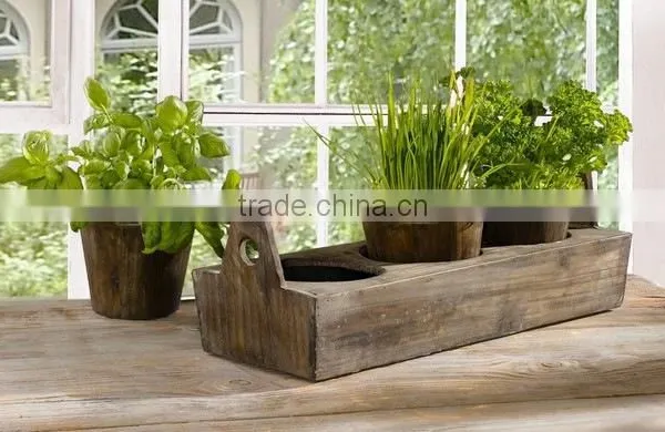 Vegetable Wooden Garden Plant Tray photo-3