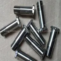 Baoji Eastsun Titanium Specialize in Gr5 Titanium Bolts photo-3