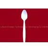 Biodegradable Tea Spoon