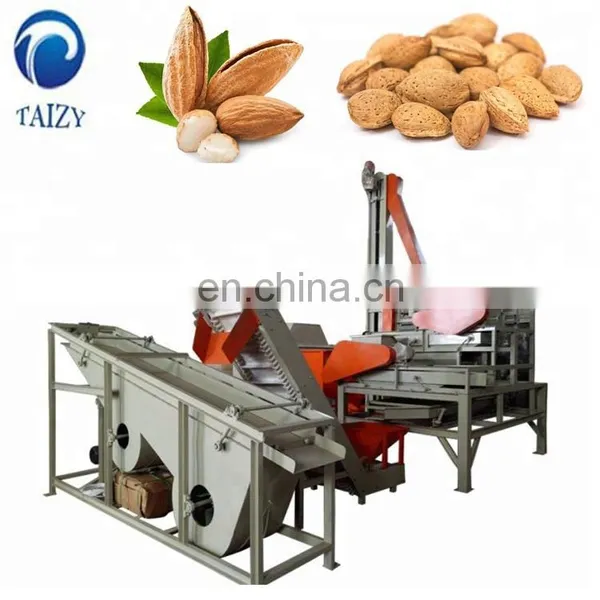 Taizy Nuts Cracker Processing Line photo-3