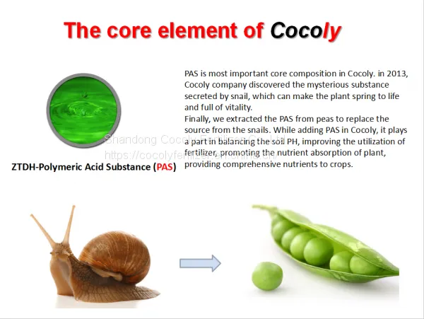 Cocoly Granular Water Soluble Fertilizer+TE photo-2