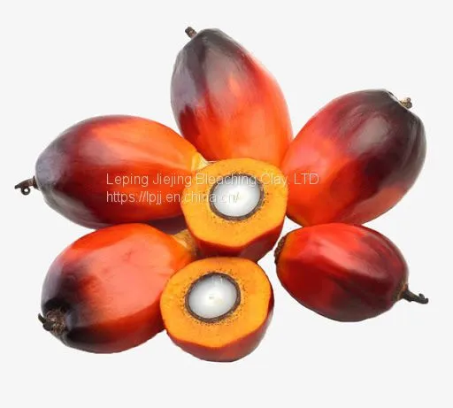Jiejing Free Sample Edible Oil Decolorization Australian 206 Bleaching Earth Activated Bentonite Clay Price for Palm photo-5