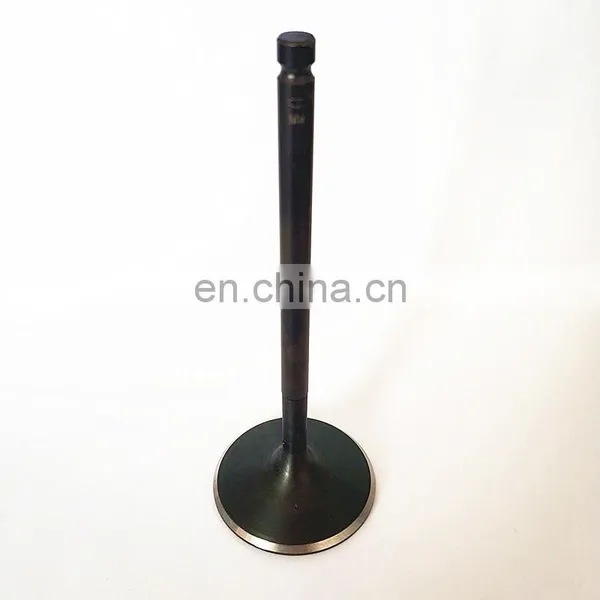 Car Spare Parts Piston Kits Rings Rod Inlet Outlet Engine Valves for BMW E46 330i 3.0L M54 M54B30 F10 F11 N52B30 M54B25 photo-2