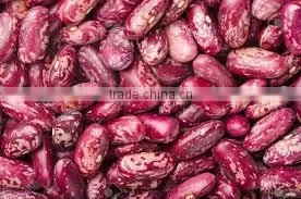 Offer Red Speckled Kidney White Beans Black Beans photo-5
