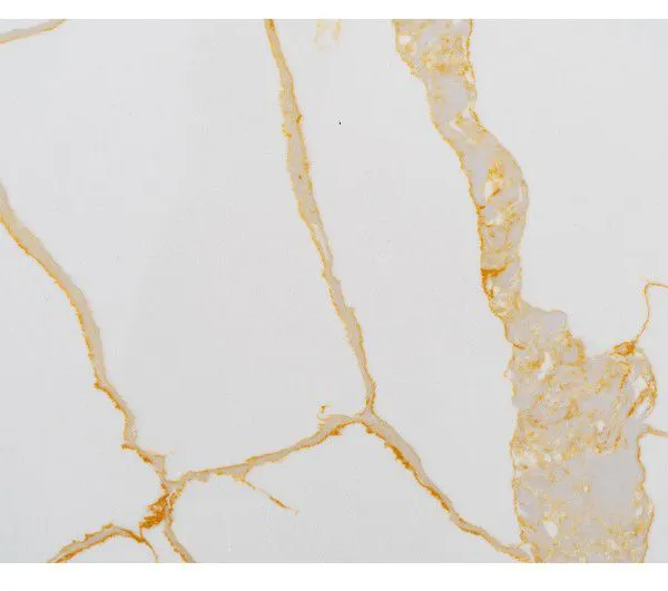 Code：1101，Calacatta Artificial Stone Quartz Slab Kitchen Countertops photo-2