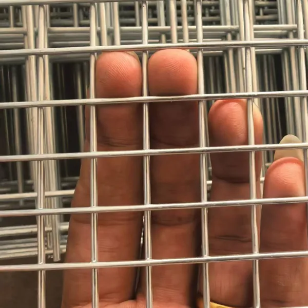 Galvanized Welded Wire Mesh Fencing Iron Wire Mesh- Durable Fencing Material