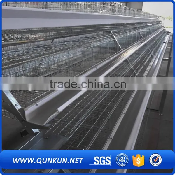 Automatic Chicken Layer Poultry Control Shed Equipment photo-3
