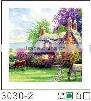 3d Decoration Picture