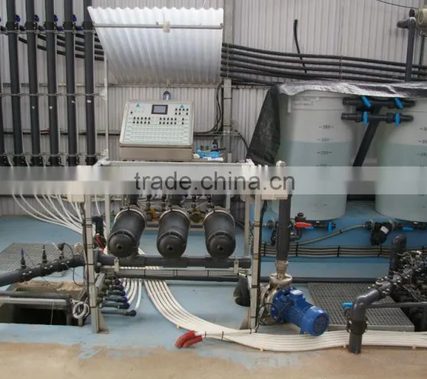 Effective Greenhouse Technologies for Hydroponic Growing Systems photo-6