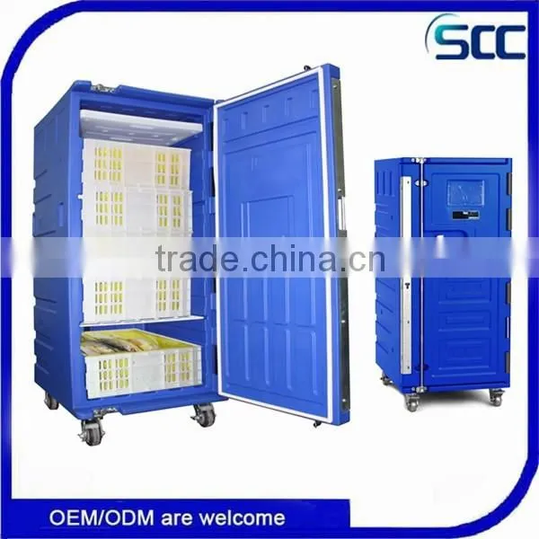 Rotomolded Plastic Insulated Cabinet for Frozen Food Storage and Transport photo-4