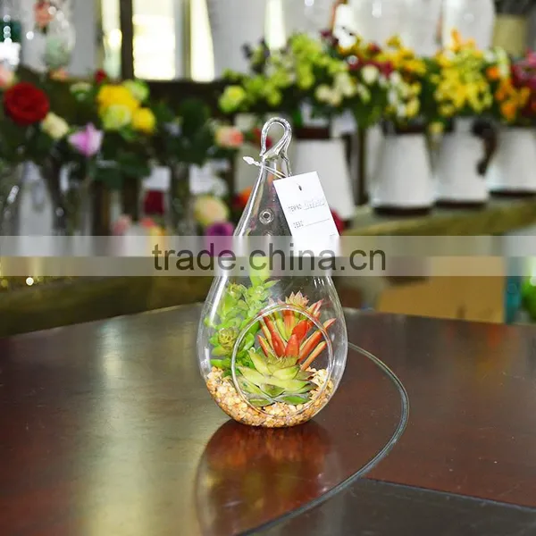 Artificial Plants Succulent Plant Hanging Glass Terrarium