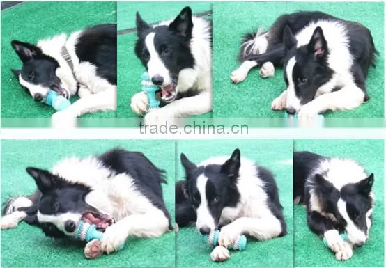 Rubber Pet Teeth Cleaning Toy/resistance to Bite to Tartar Brush Pet Teeth Toy photo-5