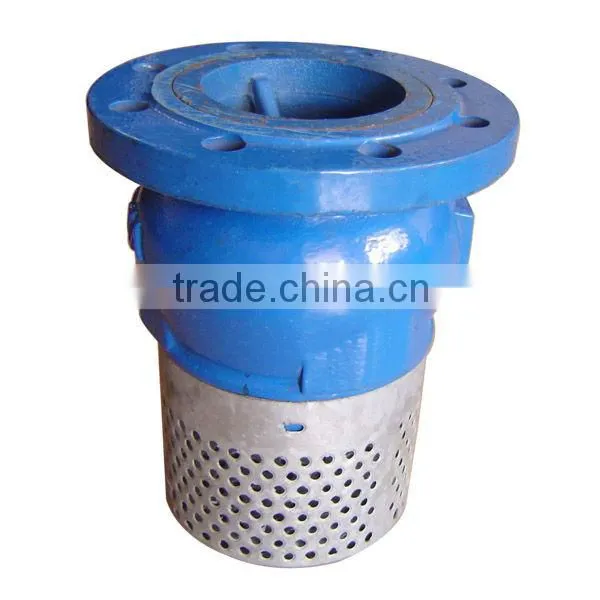 Foot Valve With Strainer and Flanged End