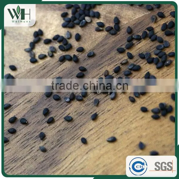 Reliable Black Sesame Wholesaler photo-4