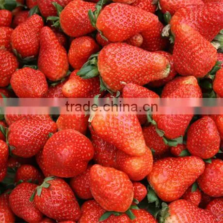 Fresh Strawberry photo-2