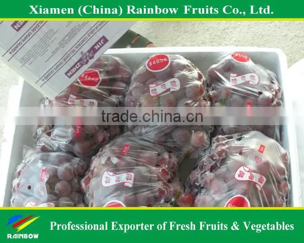 Fresh Red Sweet Seeded Grape Fruit Export From China photo-5