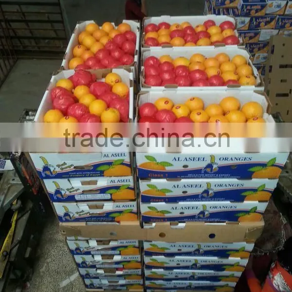 Fresh Citrus Fruit Navel Orange 2015 photo-3