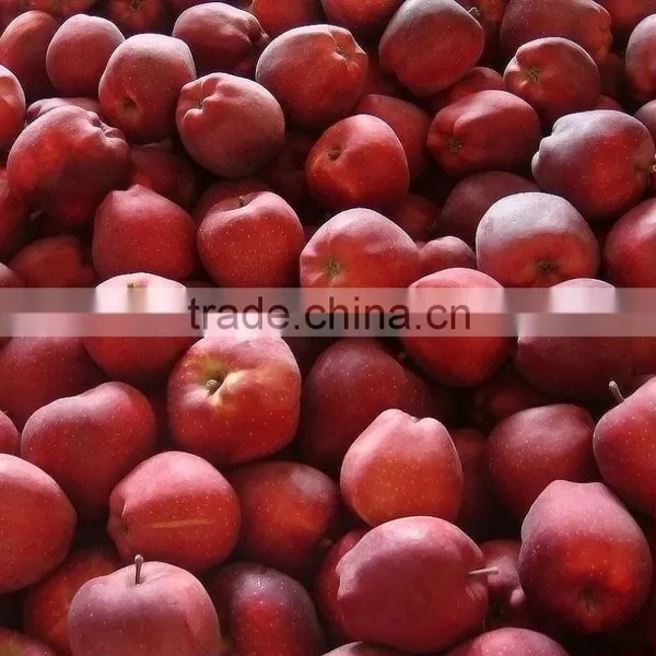 Red Color and Pome Fruit Products Type Red Delicious Apple