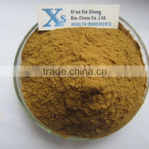 GMP Kosher Natural Schisandrae Chinensis Extract
