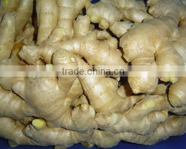 2014Organic Fresh Ginger photo-5