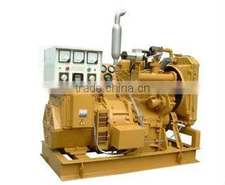 Biogas Generator Set