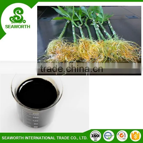 New Design Root Touch up for Vegetables photo-6