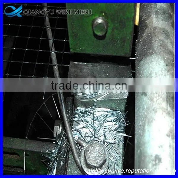 Welded Wire Mesh 6" x 6"/ Pvc Coating Welded Wire Mesh Fence / pe Coating photo-4