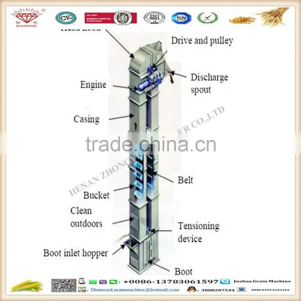 High Efficiency China Vertical Small Bucket Elevator for Sale photo-5
