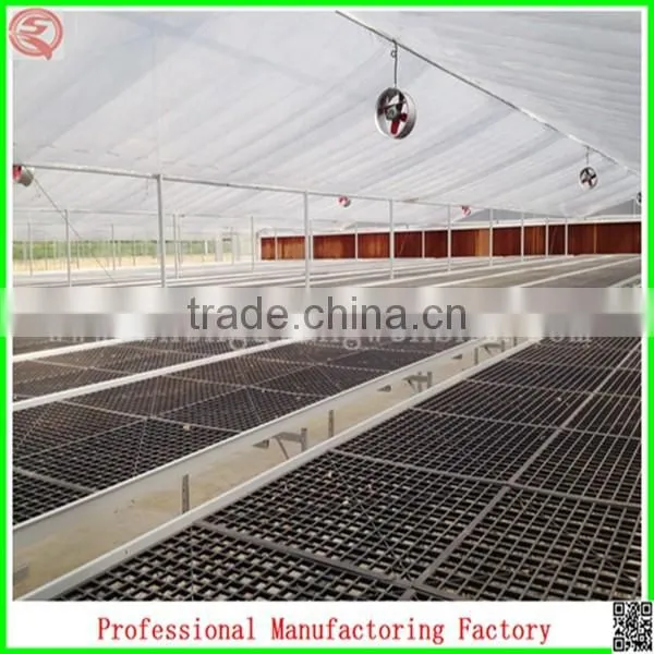 Plastic Film Commercial Greenhouses for Sale With Arched Type photo-2