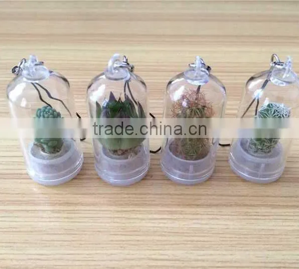 Wholesale Factory Cheap Glass Potted Meaty Cactus Plant Keychain, Super Mini Personal Gift Decorative Keychain Plant Design photo-6