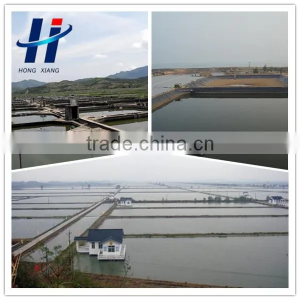 Waterproof Geomembrane for Shrimp Farm Liner photo-3