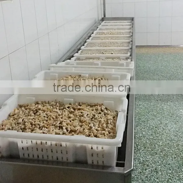Frozen Boiled Yellow Clam Meat Skewer photo-3