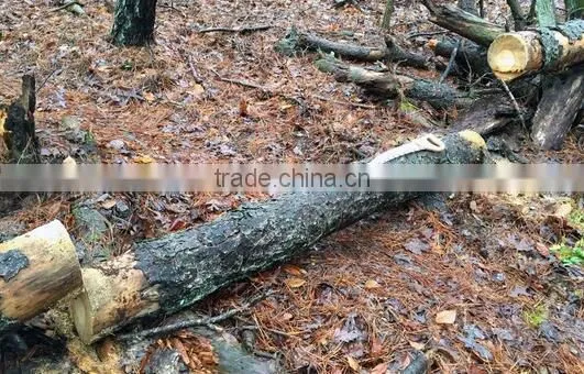 Пилка для обрезки с деревянными зубьями photo-4