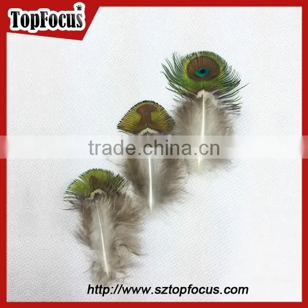 New Trendy Gold Color Cheap Artificial Peacock Feathers for Sale photo-4